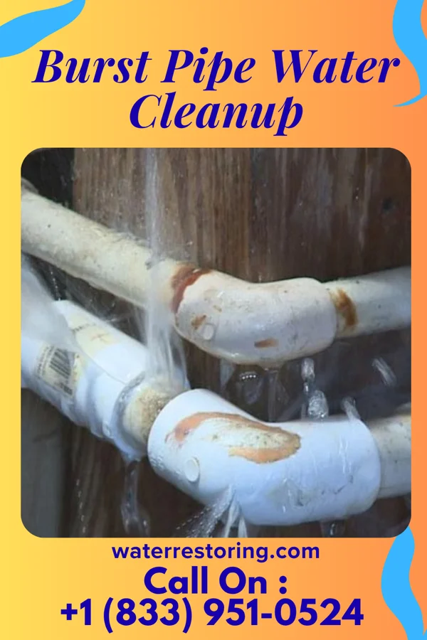 Burst Pipe Water Cleanup in Green River, WY