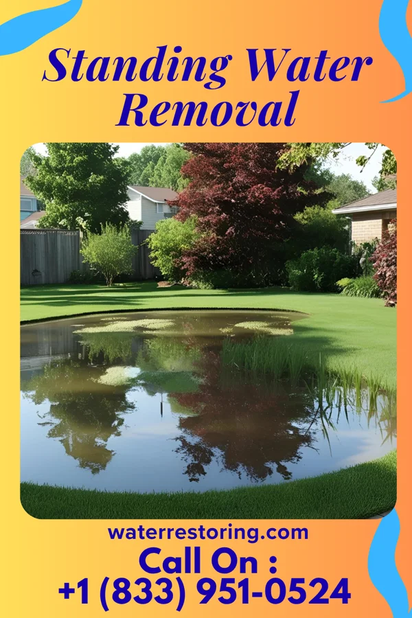Standing Water Removal in Green River, WY